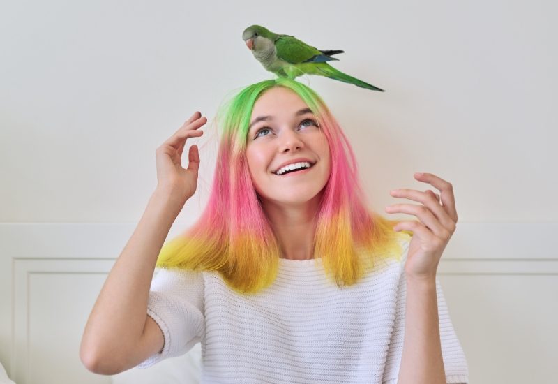 What To Know Before Getting a Pet Parrot