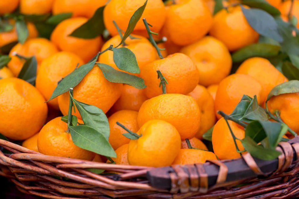 How is Vitamin C Beneficial for the Human Body, and what are its Sources?